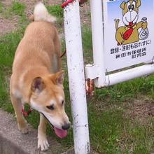 看板だぁ?