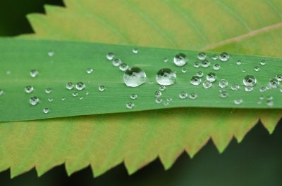 埼玉県日高市、2006年7月22日