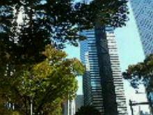 200611131050000.jpg