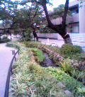shimokita-kouen1