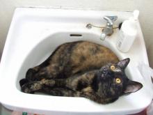 お気に入りの場所