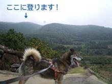 出発