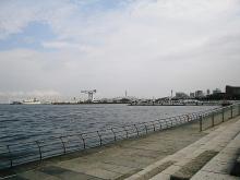 海