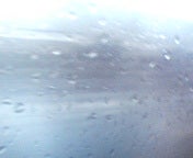 200504071755.jpg