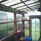 雨の日のぐーたん