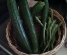 200608101719000.jpg