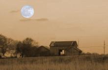 Harvest Moon