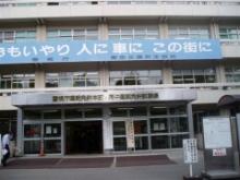 photo.jpg
