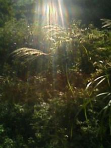 060919_1433~01.JPG