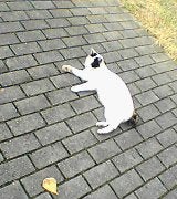 今の自分に思えてならない。。