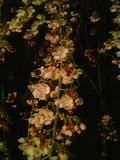 050415_2202~02.jpg