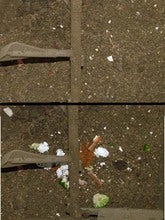 自然の恵み0412