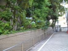 建物横坂道