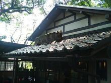 20061022115515.jpg