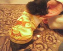20061125225555.jpg
