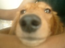 FOO