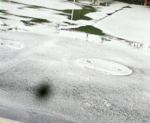 200609011240000.jpg