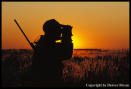 Hunter