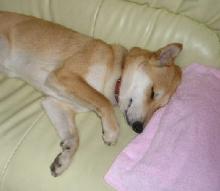 zzzZZZ
