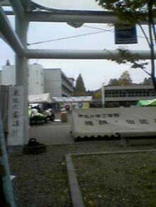 061105_0817~01.jpg