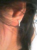 050609_2230001.jpg