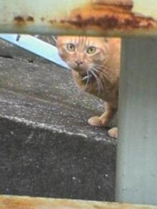 未知との遭遇