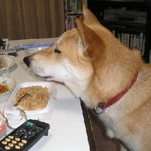 なんかくれー!