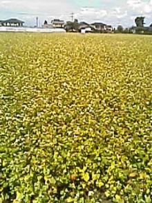 061003_1155~01.JPG