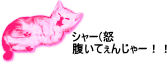 neko