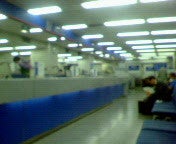 NEC_0022.jpg