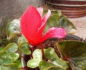 200605091641000.jpg