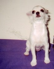 den