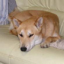 さみしいかも・・・