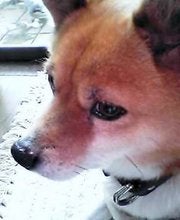 男前よのお