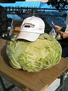 061022_0841~01.JPG