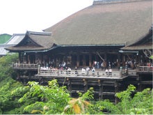 kiyobuta