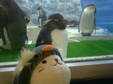 いわとびぺん