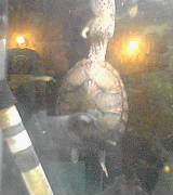 050503-2218.jpg