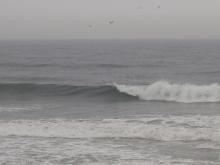 7月29日福島シークレット4