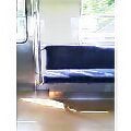 NAPNAIsh0005_I.jpg