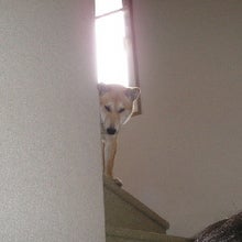 何、してんだぁ・・
