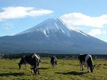 富士山