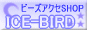 ICE-BIRDへGO