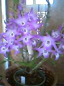 050501_1453001.jpg
