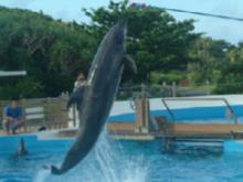 ジャンプも出来るように