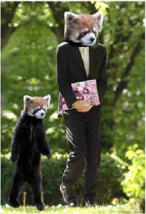 ブームも去った