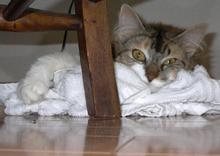 どこだ3