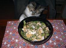 うどん２