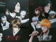 RM BLEACH+DM