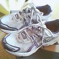20051012_1309_000.jpg